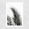 Palm Leaves 1 Unframed Print