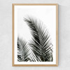 Palm Leaves 1 Medium Oak Frame