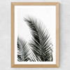 Palm Leaves 1 Wide Oak Frame