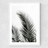 Palm Leaves 1 Medium White Frame