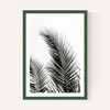 Palm Leaves 1