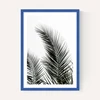 Palm Leaves 1