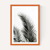 Palm Leaves 1