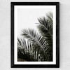 Palm Leaves 3 Wide Black Frame