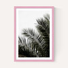 Palm Leaves 3