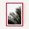 Palm Leaves 3