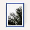 Palm Leaves 3