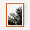 Palm Leaves 3