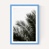 Palm Leaves 3
