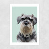 Schnauzer Unframed Print