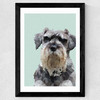 Schnauzer Wide Black Frame