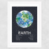 Earth by Tracie Andrews Wide White Frame