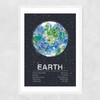 Earth by Tracie Andrews Narrow White Frame