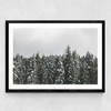 Snow Trees Medium Black Frame