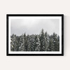 Snow Trees