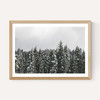 Snow Trees