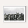 Snow Trees