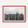 Snow Trees