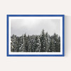 Snow Trees
