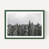 Snow Trees