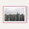 Snow Trees