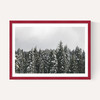 Snow Trees