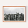 Snow Trees