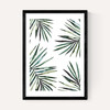 Ferns