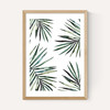 Ferns