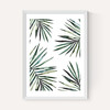 Ferns