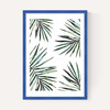 Ferns