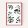 Ferns