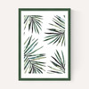 Ferns