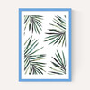 Ferns