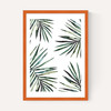 Ferns