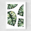 Monstera Leaf Medium White Frame