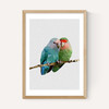 Two Love Birds