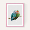 Two Love Birds