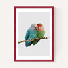Two Love Birds