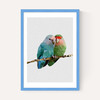 Two Love Birds