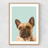 Frenchie 2 Narrow Oak Frame
