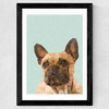 Frenchie 2 Wide Black Frame
