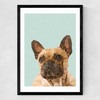 Frenchie 2 Medium Black Frame