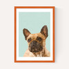 Frenchie 2