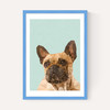 Frenchie 2