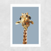 Giraffe Unframed Print