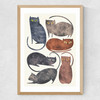 Cats Medium Oak Frame