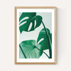 Monstera by Rafael Farias