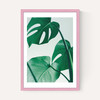Monstera by Rafael Farias