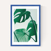 Monstera by Rafael Farias